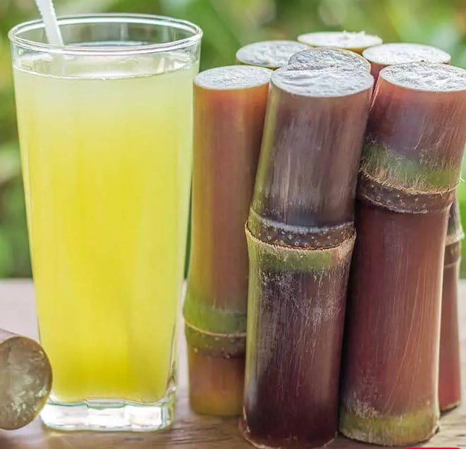 Sugarcane Juice Benefits: इम्युनिटी बढ़ाने से लेकर त्वचा निखारने तक, गन्ने के जूस से मिलेंगे ये बेहतरीन फायदे