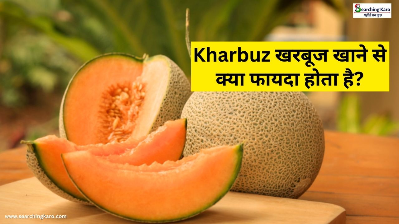 Kharbuz खरबूज खाने से क्या फायदा होता है