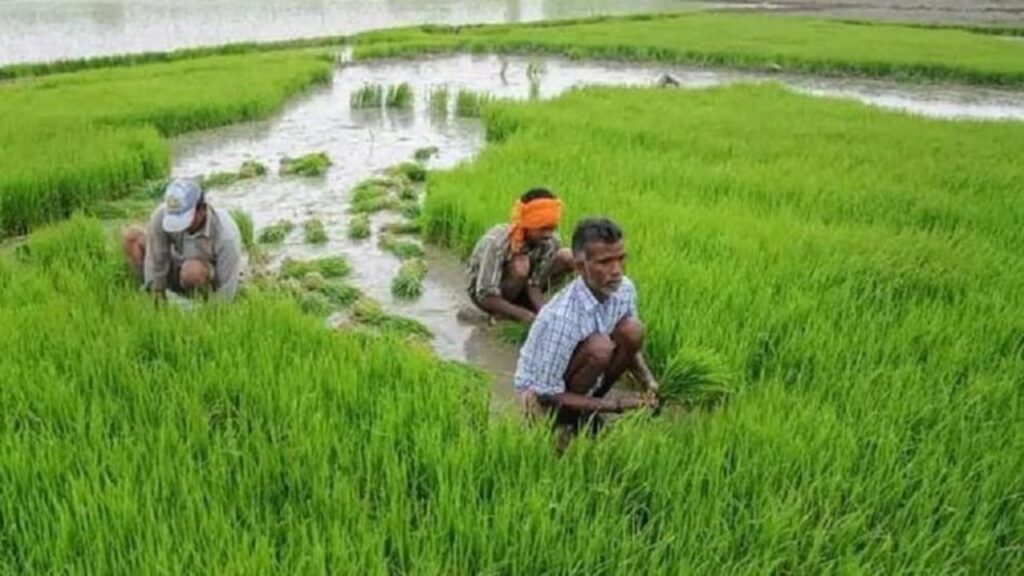 PM Kisan Yojana: क्या दूसरों की ज़मीन पर खेती करने वाले किसान भी 18वीं किस्त का लाभ ले सकते हैं? जानें नियम