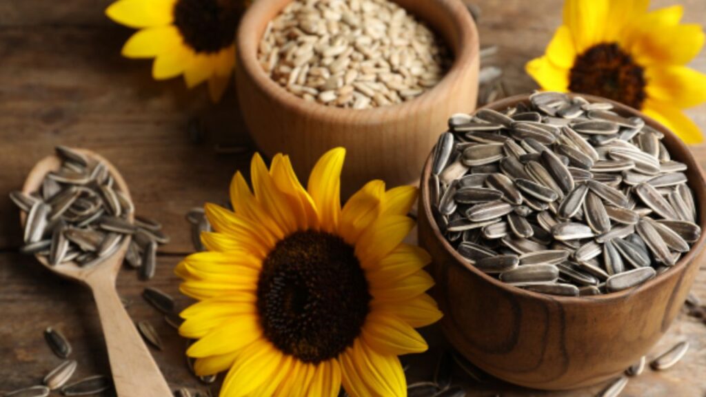 Sunflower Seeds Benefits: सूरजमुखी के बीज, स्वास्थ्य के लिए 8 अद्भुत लाभ