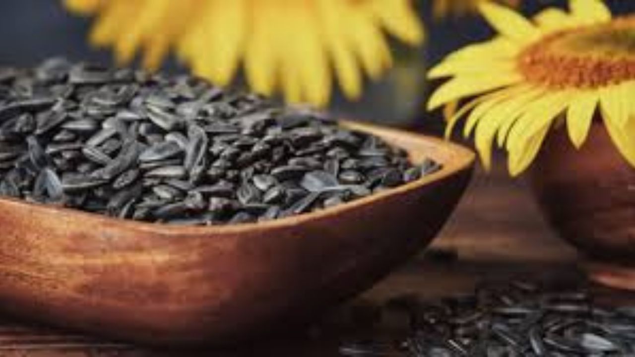 Sunflower Seeds Benefits: सूरजमुखी के बीज, स्वास्थ्य के लिए 8 अद्भुत लाभ