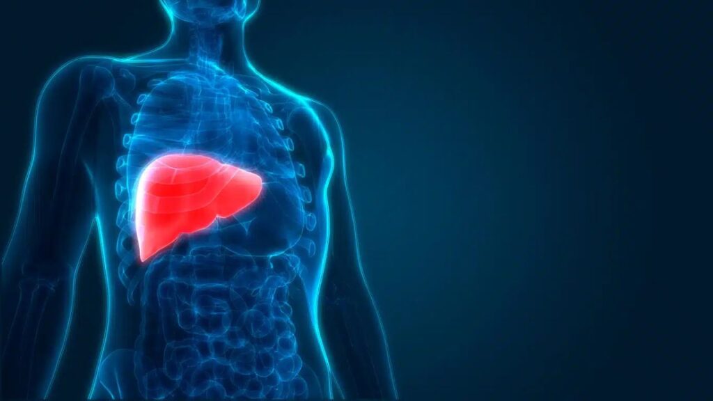 Liver Cancer: डायबिटीज और हाई कोलेस्ट्रॉल कैसे बढ़ाते हैं लीवर कैंसर, जानें रोकथाम के उपाय