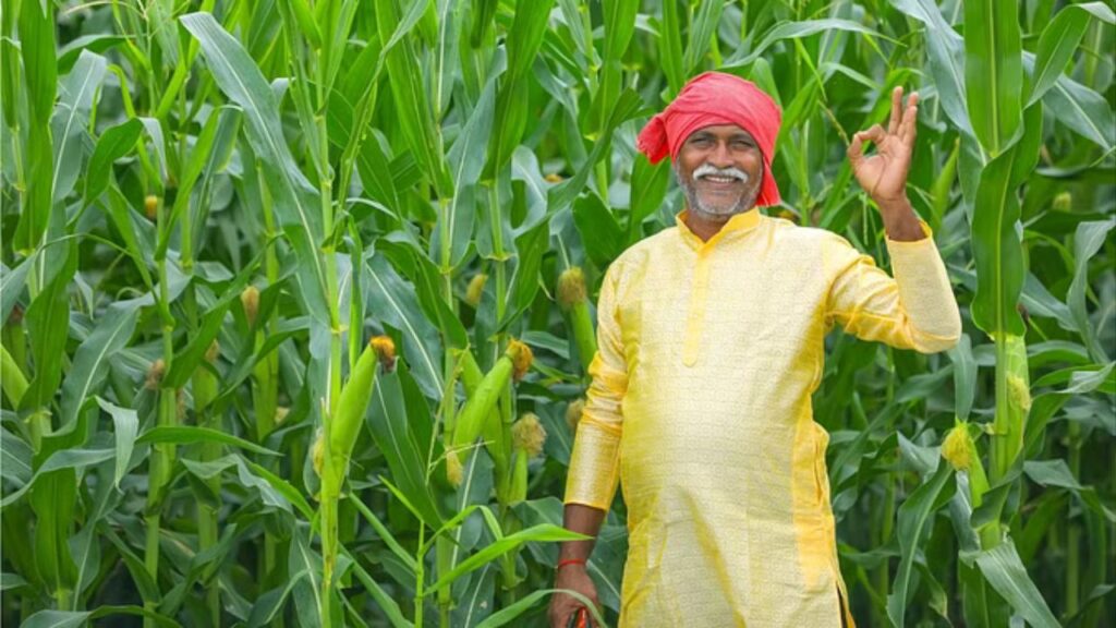 PM Kisan Yojana: अटकी 18वीं किस्त जल्द आ सकती है, किसानों को तुरंत करना चाहिए यह महत्वपूर्ण कार्य